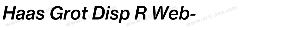 Haas Grot Disp R Web字体转换